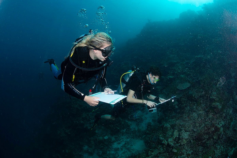 stanza ames approfondimenti marhe