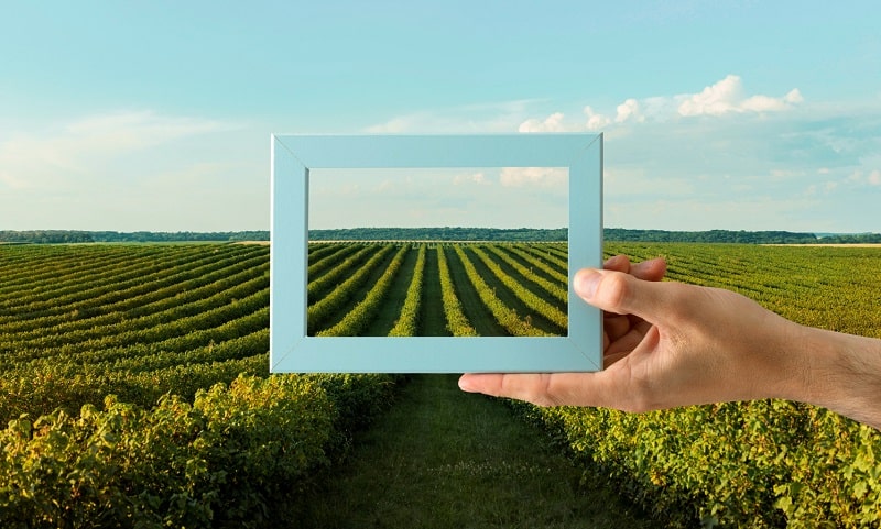 terra next bando 2023 copertina