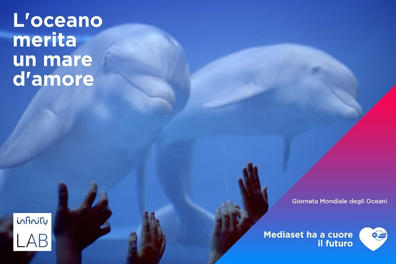 video salvaguarda mari crowdfunding