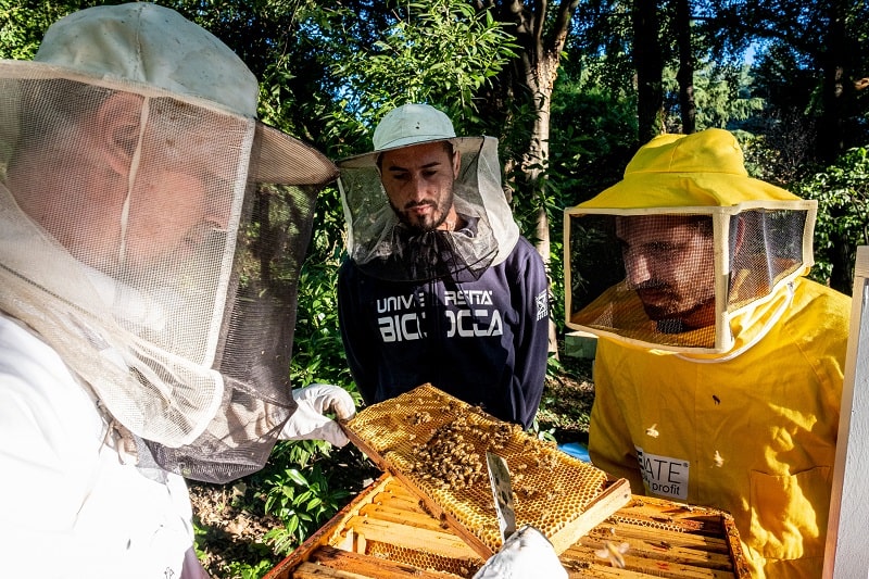 vivaio bicocca Ricercatori al lavoro con le api