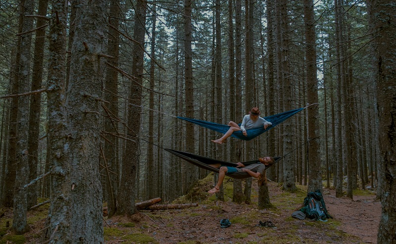 wearewalden copertina