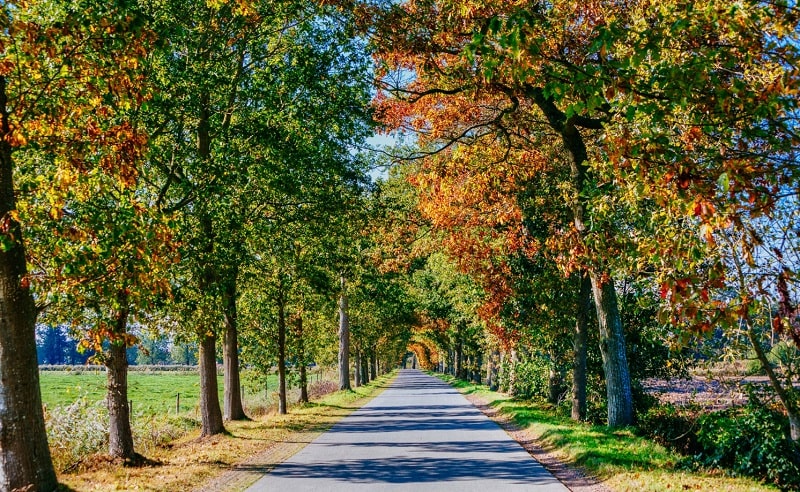 wwf report aree urbane copertina